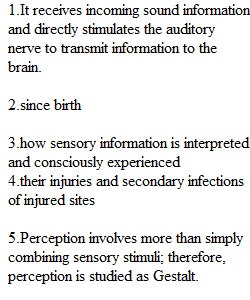 Assignment on Sensation & Perception